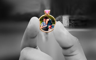 王暖暖离婚案明日审理，70岁离婚期限引关注，王暖暖丈夫现状